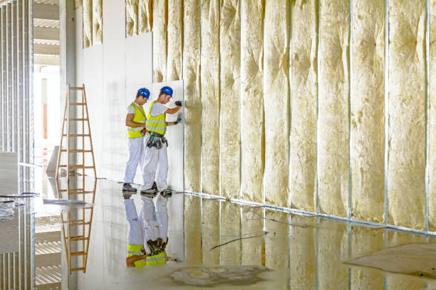 Best Geographic-Specific Insulation Services in Brighton, IL